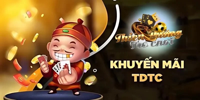 Điều khoản sử dụng TDTC về khuyến mãi.