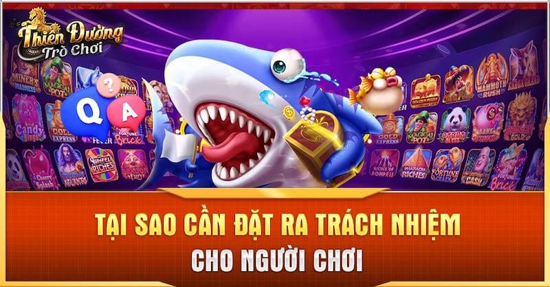 Vai trò khi chơi có trách nhiệm TDTC.