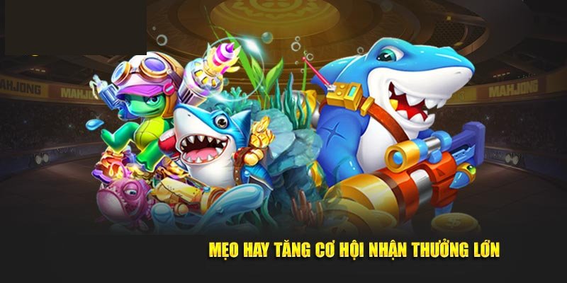 Các mẹo chơi bắn cá hiệu quả từ cao thủ