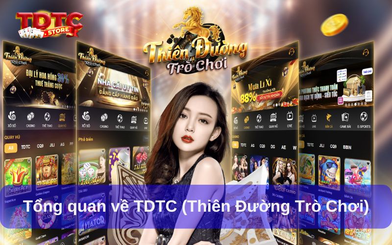 Tổng quan về TDTC (Thiên Đường Trò Chơi)