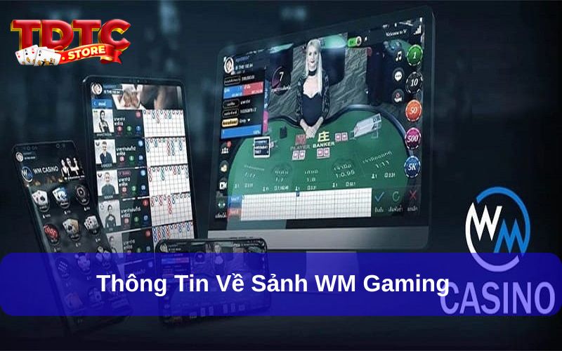 WM Gaming là sảnh casino chưa bao giờ hết hot
